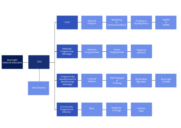 Governance & Structure // Blue Light